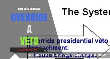 Decoding the Process: How Congress Overrides a Presidential Veto