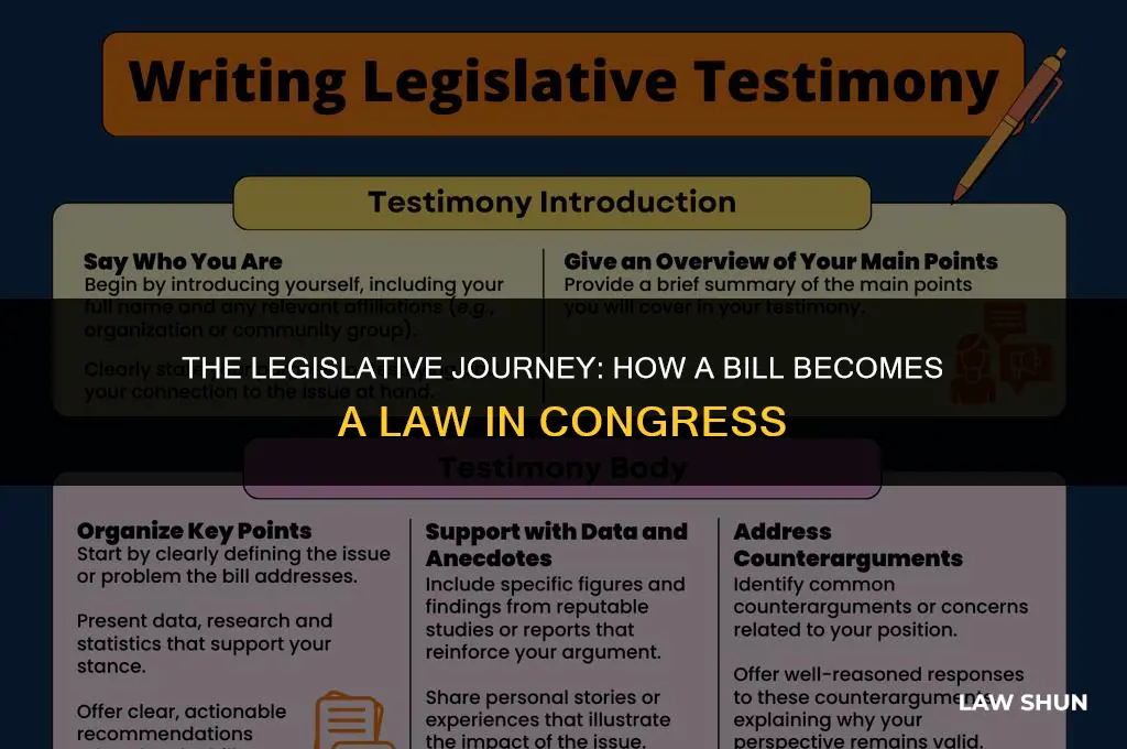 how does congress register a law