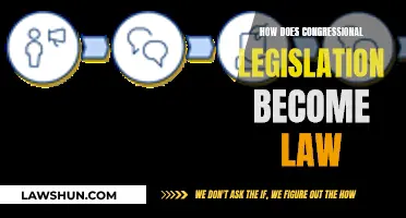 The Legislative Process: How Laws are Made