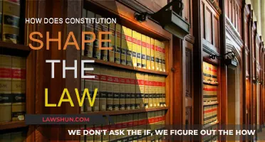 Constitution's Role: Shaping Laws and Our Future