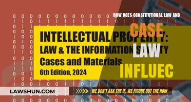 Constitutional Law and Case Law: Interplay and Influence