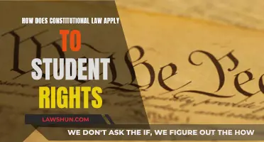 Constitutional Law: Student Rights and Their Protection