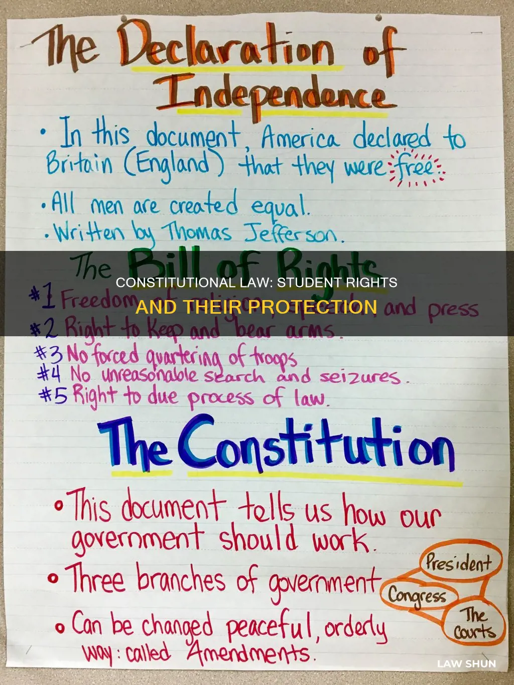 how does constitutional law apply to student rights