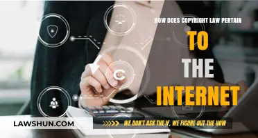 Navigating Copyright Law in the Digital Age: Internet Rights Explained