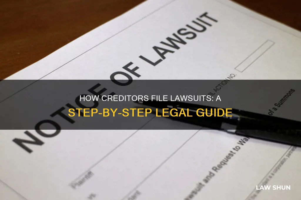 how does creditor sue in court of law