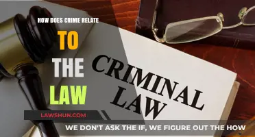 Understanding the Complex Relationship Between Crime and Legal Systems