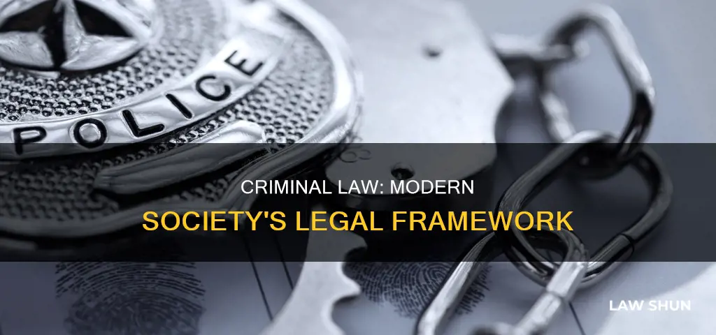 how does criminal law apply in modern society