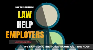 Navigating Workplace Crimes: How Criminal Law Protects Employers