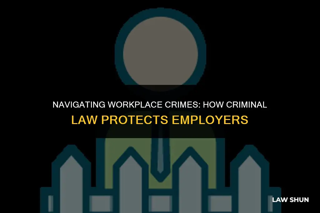 how does criminial law help employers