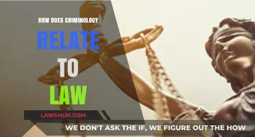 Criminology and Law: Understanding Their Interconnected Roles in Justice
