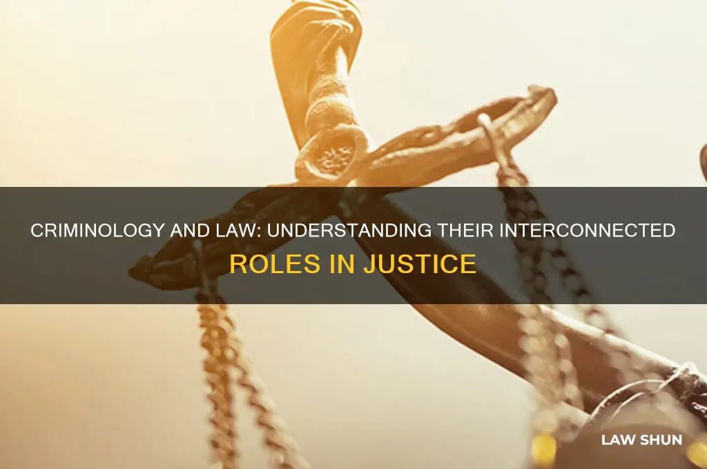 how does criminology relate to law