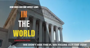 Cultural Influences on Global Legal Systems: Shaping Laws and Justice