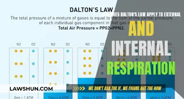 Dalton's Law: Understanding External and Internal Respiration