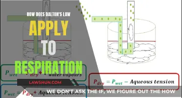 Dalton's Law: Understanding Gas Exchange in Respiration