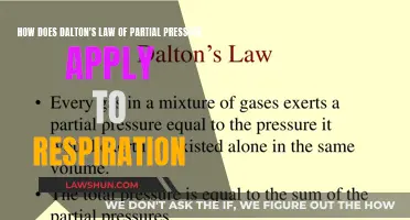 Dalton's Law: Understanding Partial Pressures in Respiratory Gas Exchange