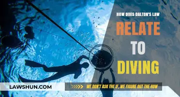 Dalton's Law: Understanding Gas Mixtures in Scuba Diving Safety