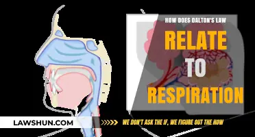 Dalton's Law and Respiration: Understanding Gas Exchange in Breathing