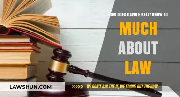David E. Kelly's Legal Mastery: Unraveling His Law Expertise