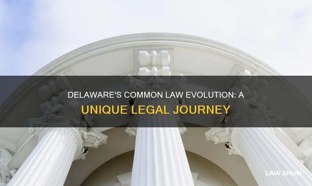 how does delaware allow for common law to be changed