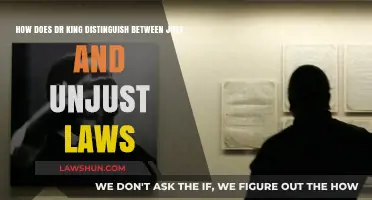 Dr. King's Criteria: Differentiating Just and Unjust Laws