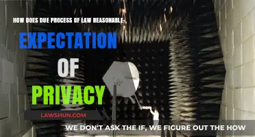 Due Process, Privacy, and Reasonable Expectations: Legal Boundaries Explored