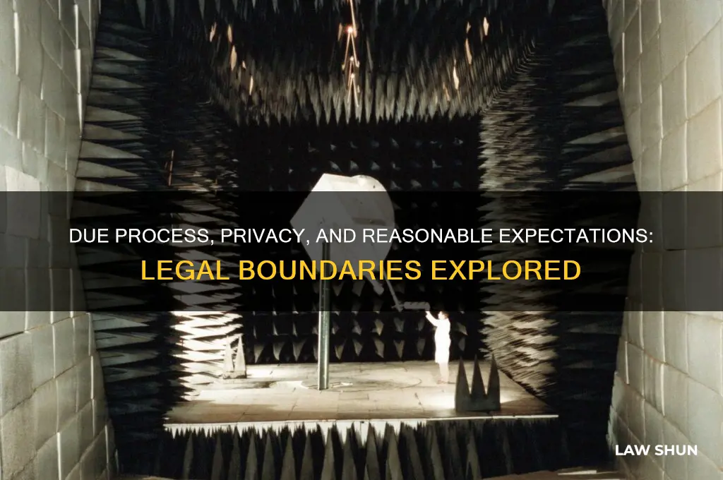 how does due process of law reasonable expectation of privacy