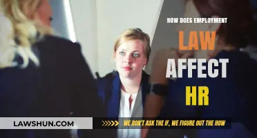 Employment Law's Impact: Shaping HR Policies and Practices