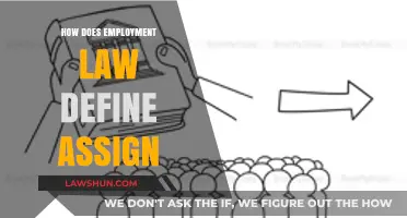 Understanding Assignment in Employment Law: A Comprehensive Guide