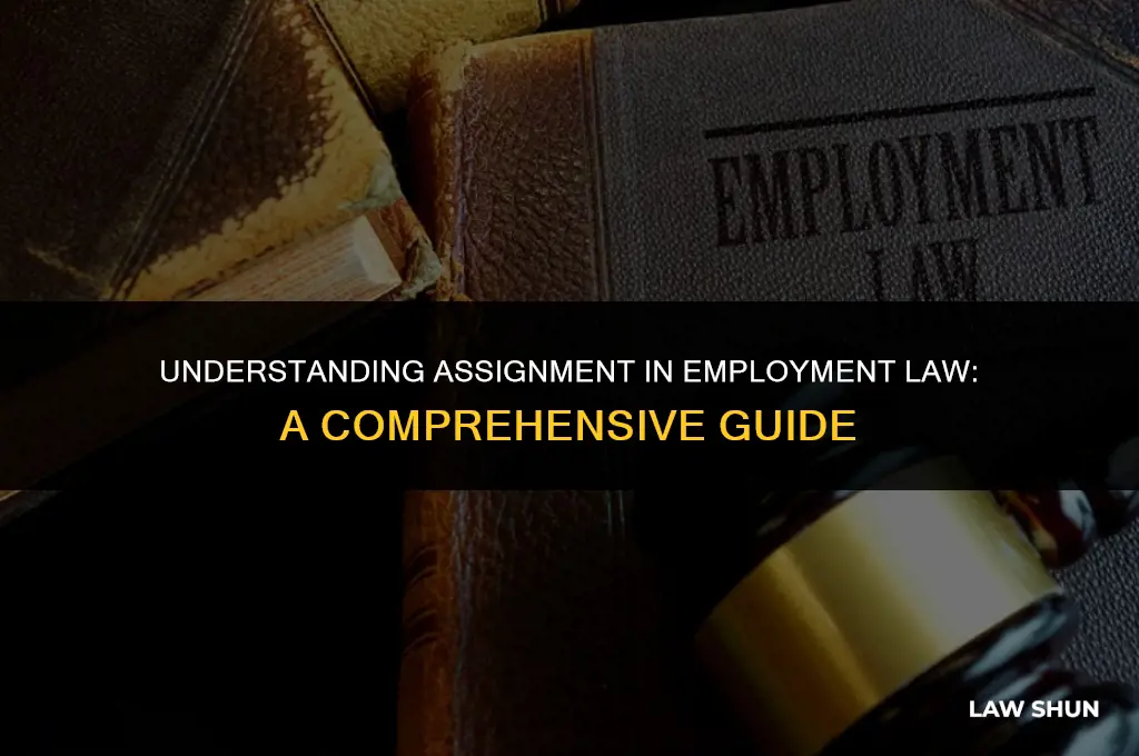 how does employment law define assign
