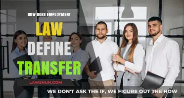 Navigating Transfer of Employment: Legal Definitions and Implications