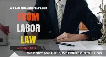 Employment vs. Labor Law: Key Differences and Their Impact Explained