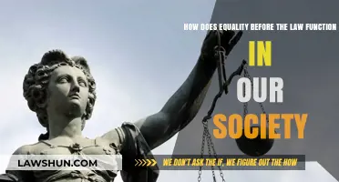 Equality Before the Law: Upholding Justice and Fairness in Society