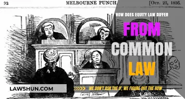 Equity Law vs Common Law: Key Differences