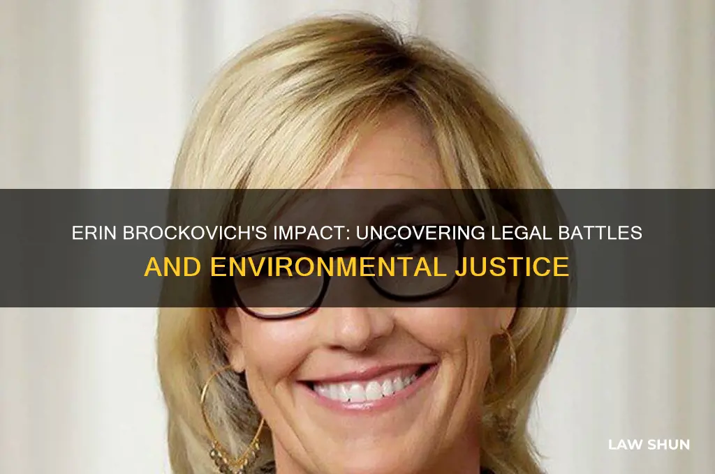 how does erin brockovich relate to the law