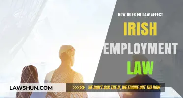 EU Law's Impact on Irish Employment Legislation: Key Changes Explained