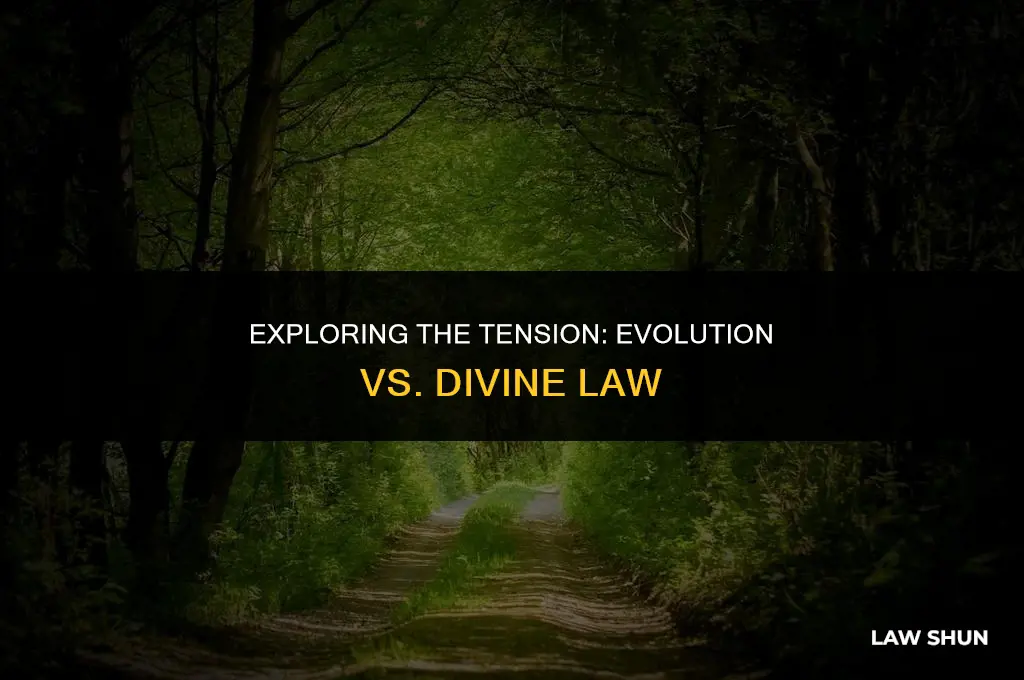 how does eveolution rject gods law