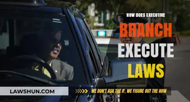 The Executive Branch's Role in Enforcing Legislation