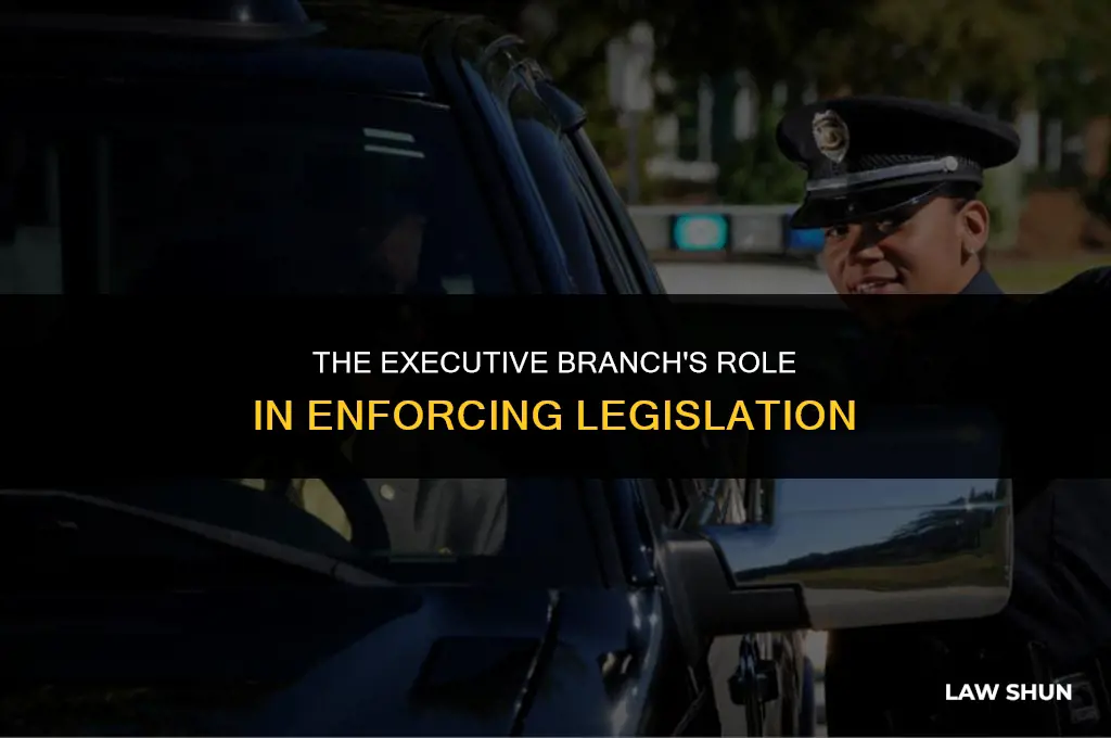 how does executive branch execute laws