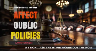 How Existing Laws Shape and Influence Public Policy Decisions