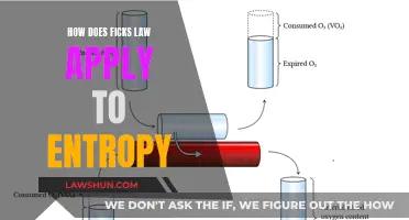 Fick's Law and Entropy: Understanding the Connection