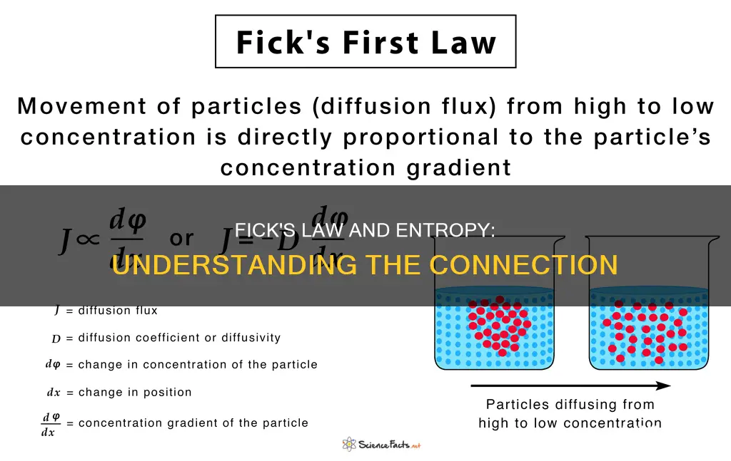 how does ficks law apply to entropy