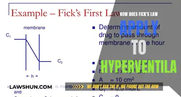 Fick's Law Fundamentals: Hyperventilation Explained