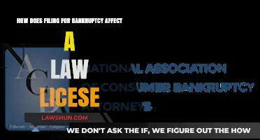 Bankruptcy and Legal Careers: Impact on Maintaining Your Law License