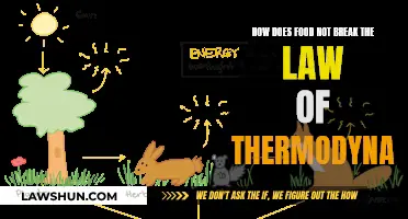 Food and the Law of Thermodynamics: Energy Conservation