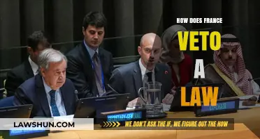 France's Veto Power: A Detailed Look at the Legislative Process