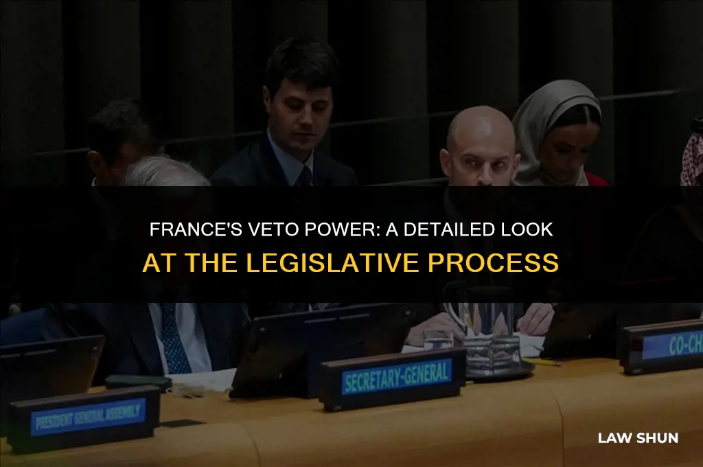 how does france veto a law