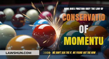 Friction's Role in Upholding the Law of Conservation of Momentum