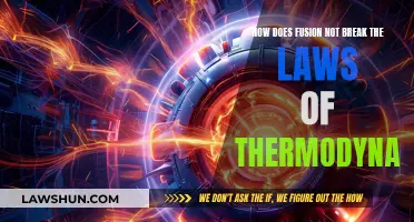 Fusion's Thermodynamics: Energy, Entropy, and the Laws of Physics