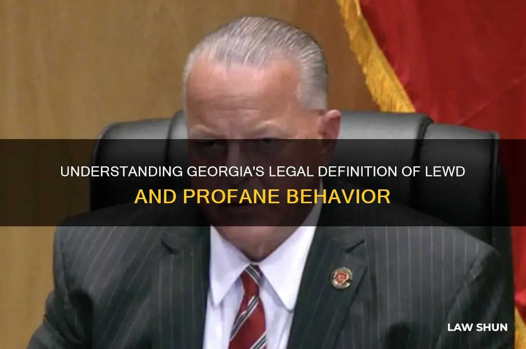 how does georgia law define lewd profane