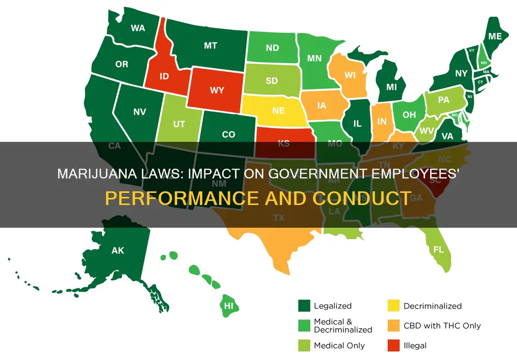 how does goverment emplyess become effected by marjuana laws